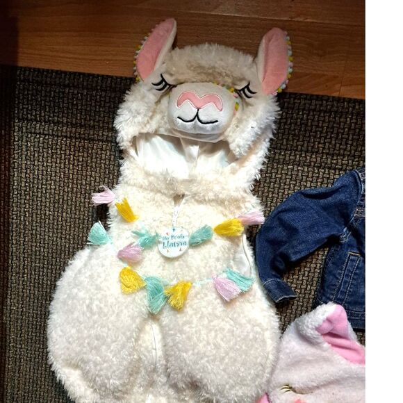 4 sweet jackets for kids appx 18 Mo-2T plus cap & mittens-some new with tags - Picture 3 of 9